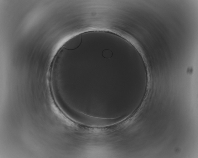 X0000111050958200906251430
