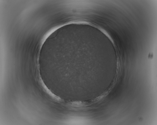 X0000111050959200906251430