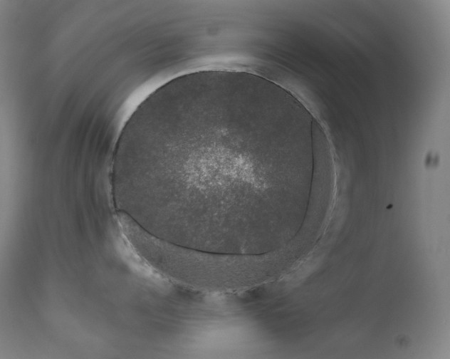 X0000111050960200906251430