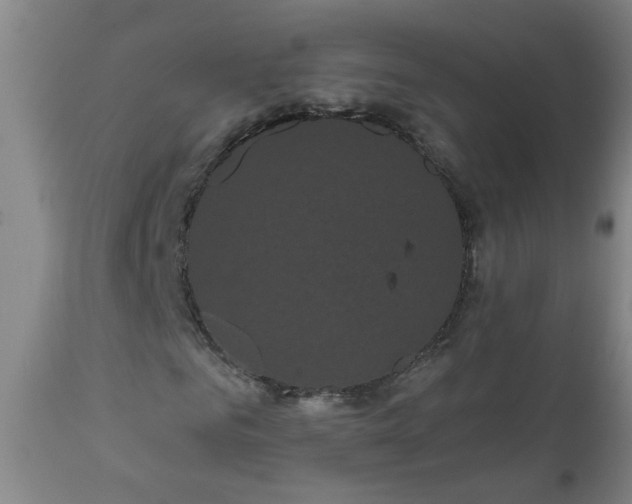 X0000111050961200906251429