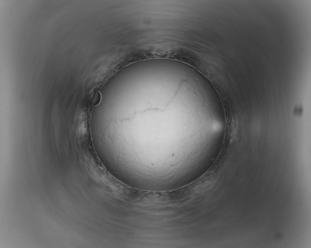 X0000111050962200906251429