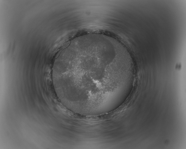 X0000111050964200906251429