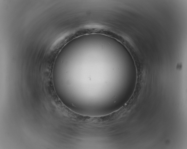 X0000111050967200906251429