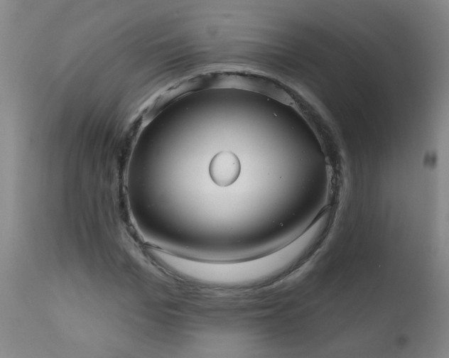 X0000111050969200906251429