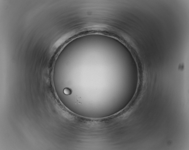 X0000111050970200906251429
