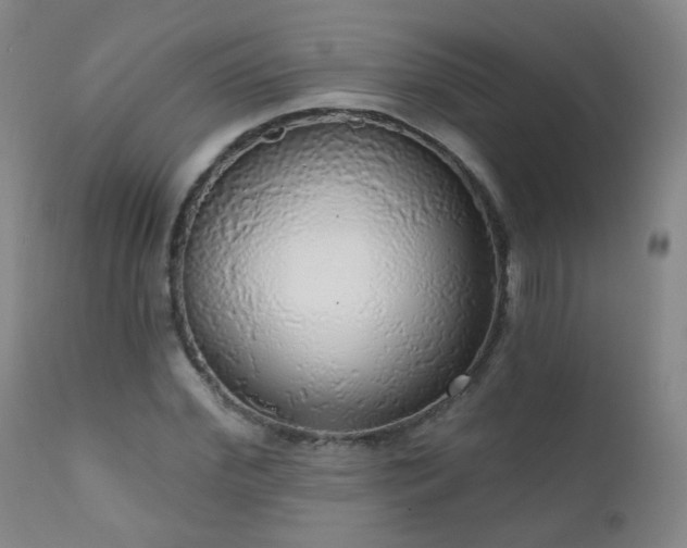 X0000111050972200906251429