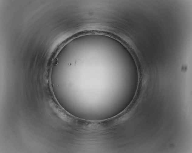 X0000111050974200906251429