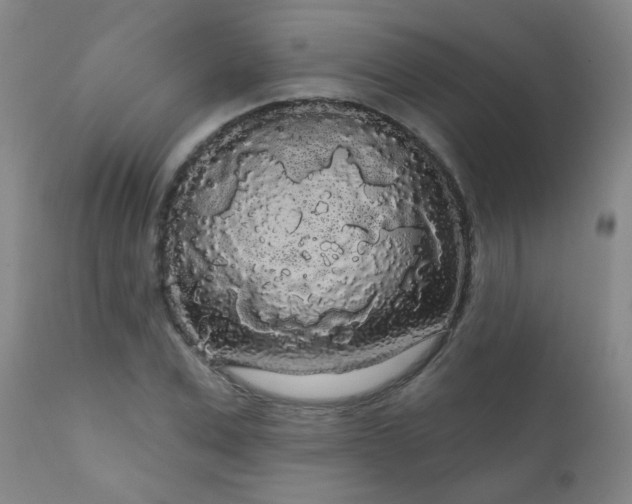 X0000111050975200906251429