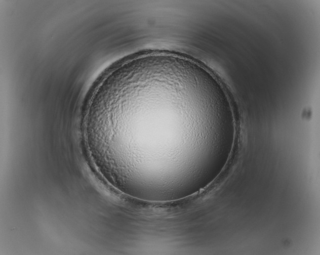 X0000111050976200906251429