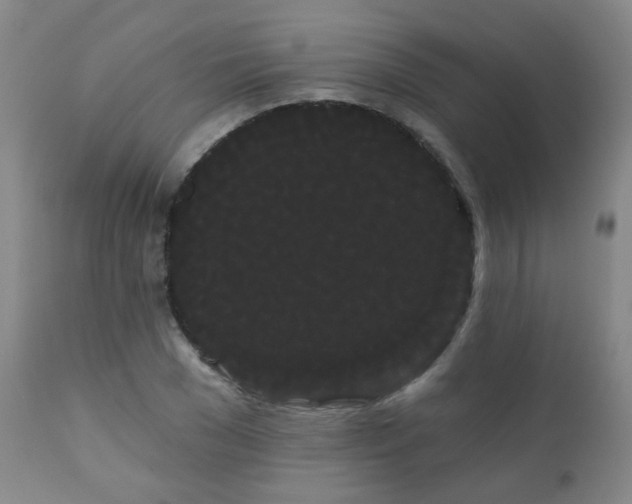 X0000111050977200906251429