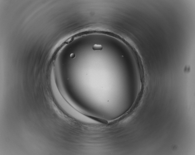 X0000111050981200906251429