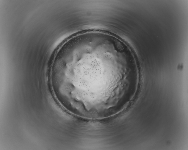X0000111050983200906251429