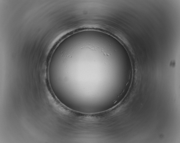 X0000111050984200906251429