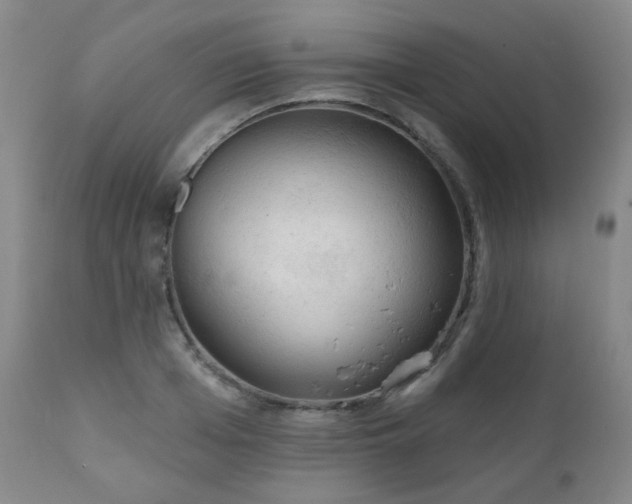 X0000111050985200906251429