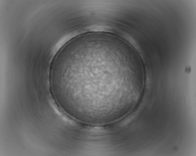 X0000111050986200906251429