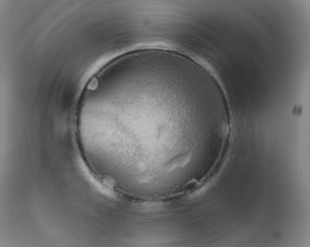 X0000111050989200906251429