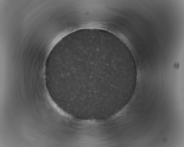 X0000111050990200906251429