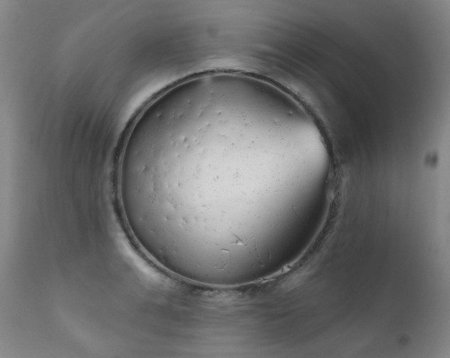 X0000111050991200906251429