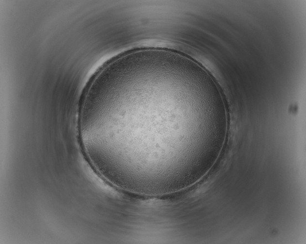 X0000111050992200906251429