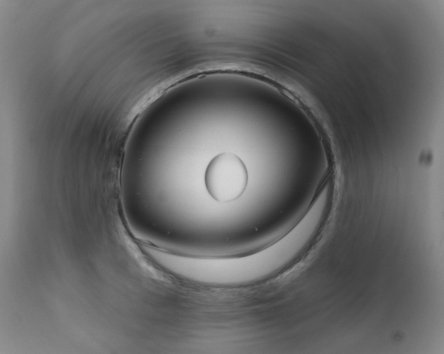 X0000111050993200906251429