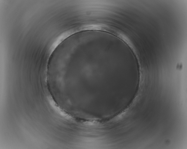 X0000111050994200906251429