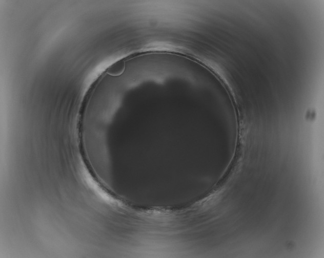 X0000111050995200906251429