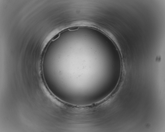 X0000111050997200906251429