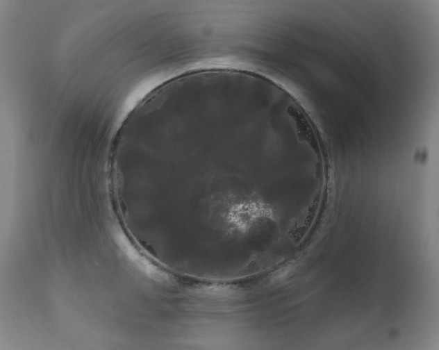 X0000111050998200906251429