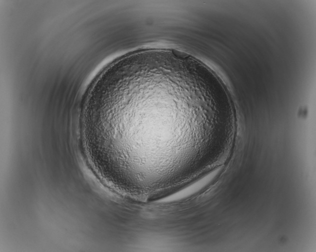 X0000111051000200906251429