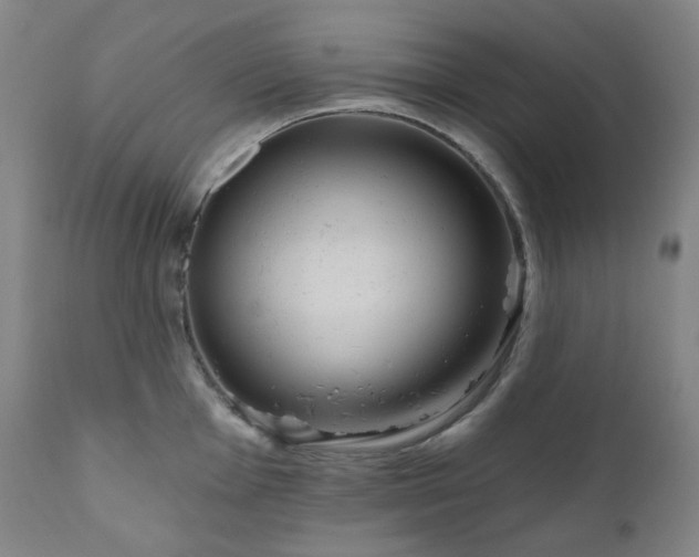 X0000111051001200906251429