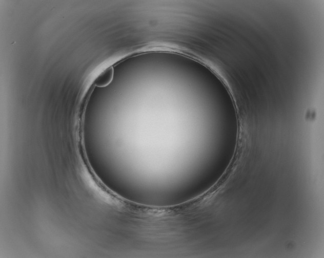X0000111051003200906251429