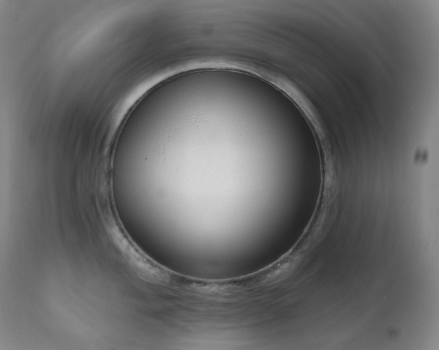 X0000111051004200906251428