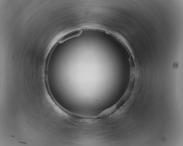 X0000111051005200906251428