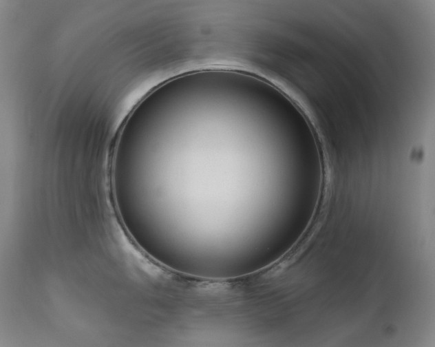 X0000111051006200906251428