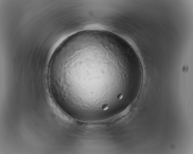 X0000111051008200906251428