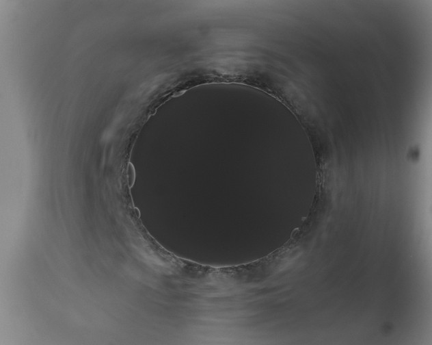 X0000111051009200906251428