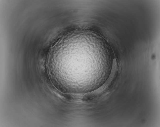 X0000111051010200906251428