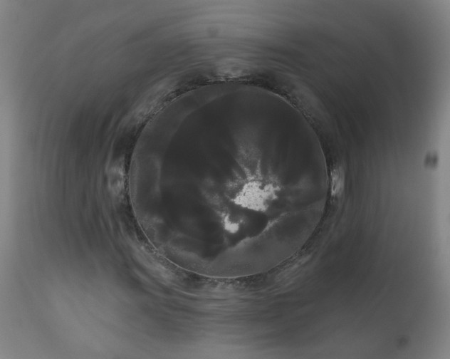 X0000111051011200906251428