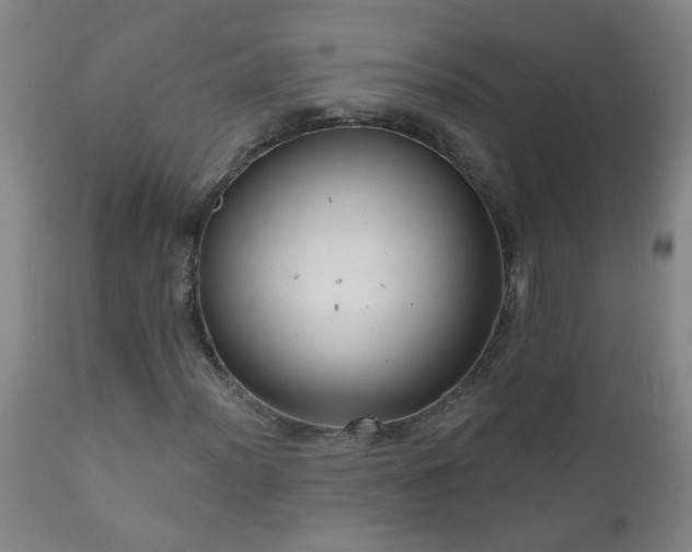 X0000111051012200906251428