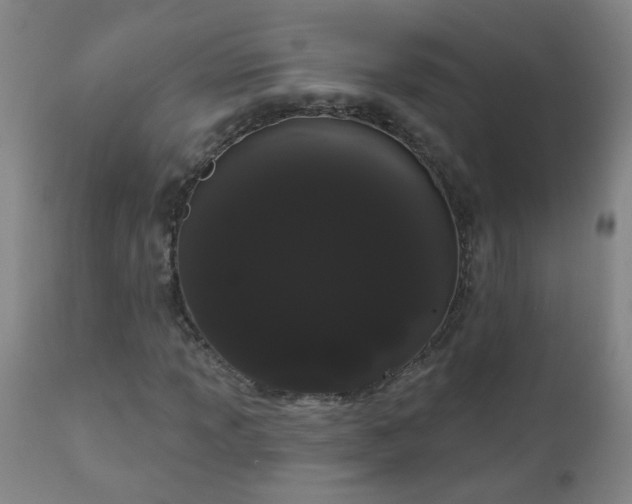 X0000111051013200906251428