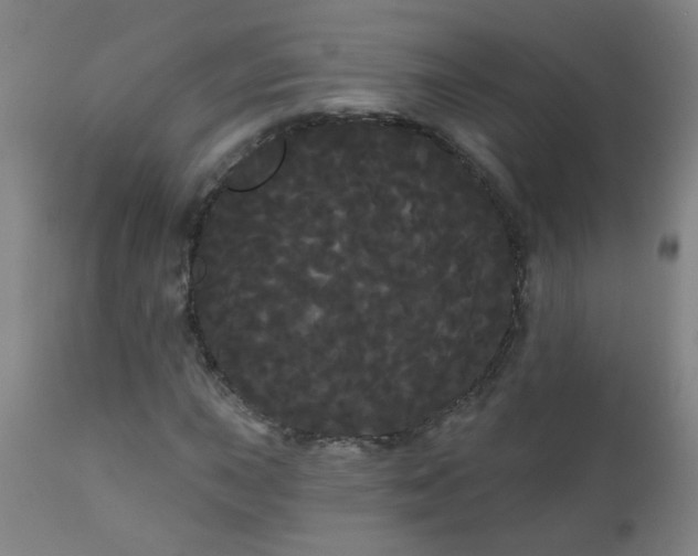X0000111051015200906251428