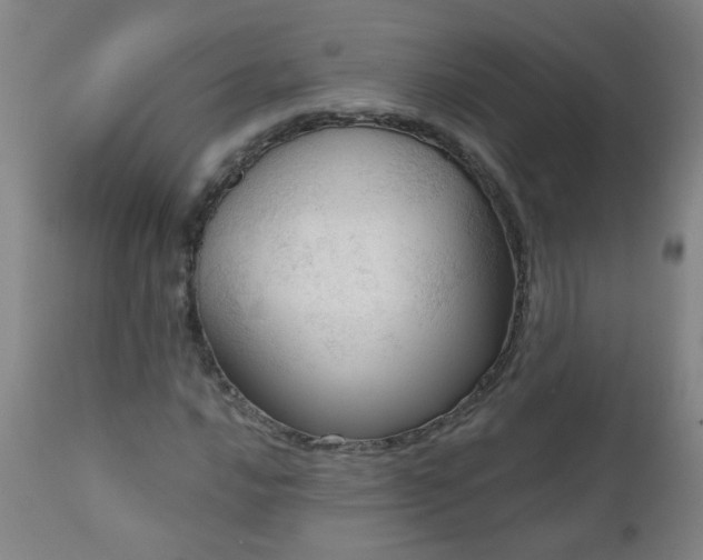 X0000111051016200906251428