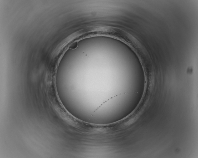 X0000111051017200906251428