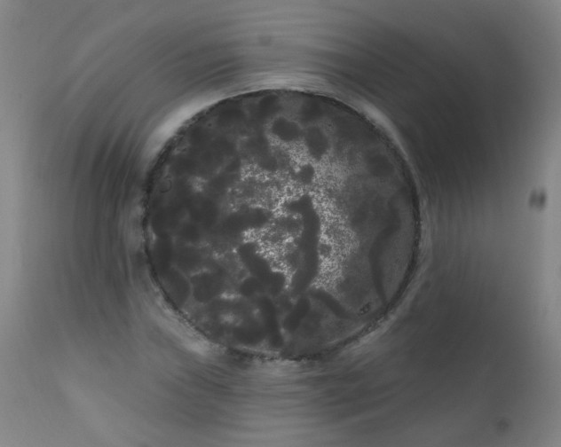 X0000111051019200906251428