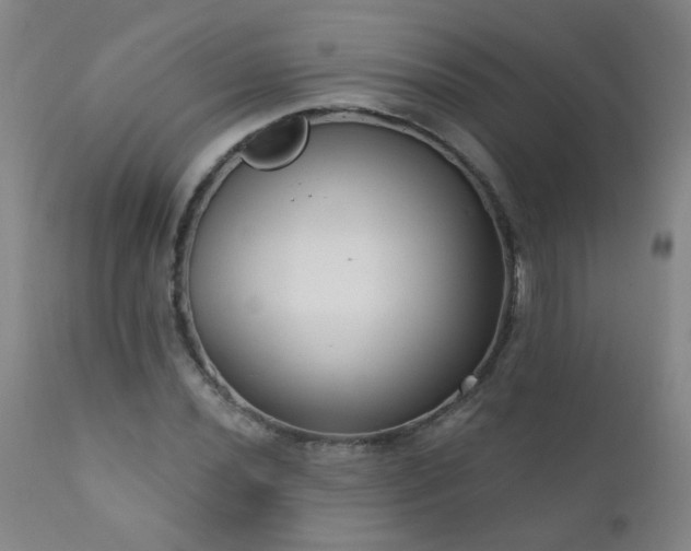 X0000111051020200906251428
