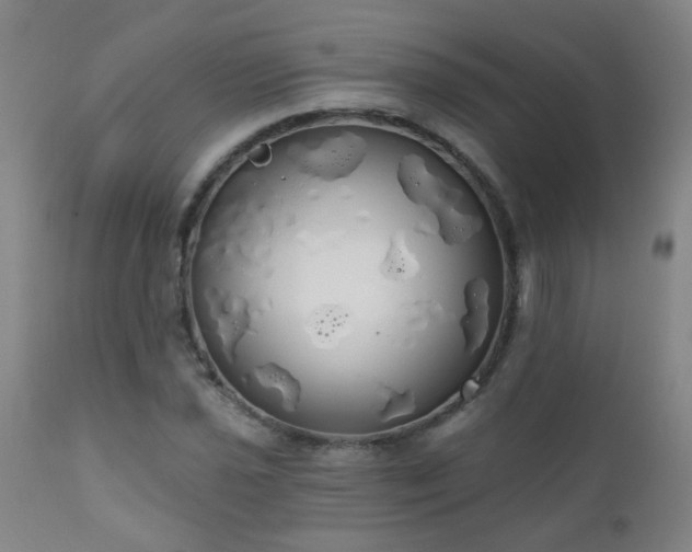 X0000111051021200906251428