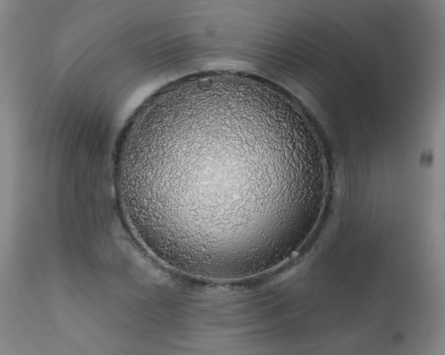 X0000111051022200906251428