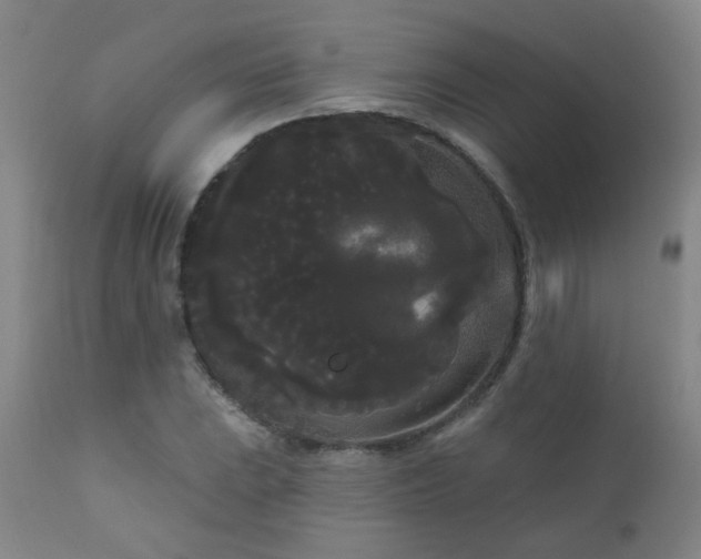 X0000111051023200906251428