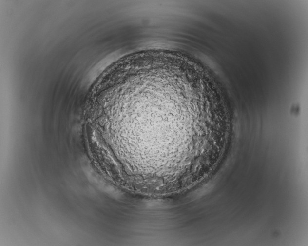 X0000111051025200906251428