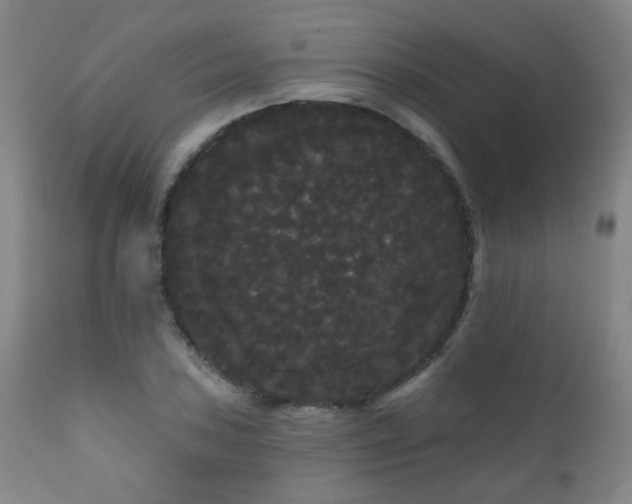 X0000111051027200906251428